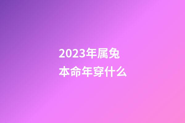 2023年属兔本命年穿什么(甜蜜七夕!英媒:F1帅哥续约后第一时间通知中国女友,异地恋多年)-第1张-观点-玄机派