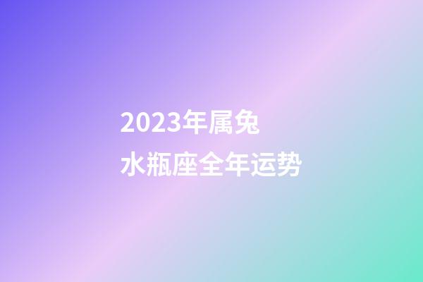 2023年属兔水瓶座全年运势-第1张-星座运势-玄机派