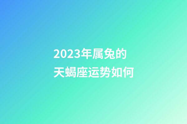 2023年属兔的天蝎座运势如何-第1张-星座运势-玄机派
