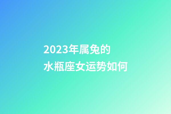 2023年属兔的水瓶座女运势如何-第1张-星座运势-玄机派