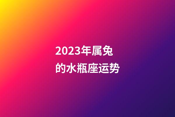 2023年属兔的水瓶座运势-第1张-星座运势-玄机派