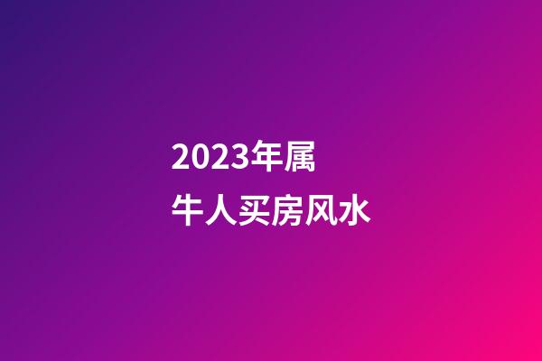 2023年属牛人买房风水