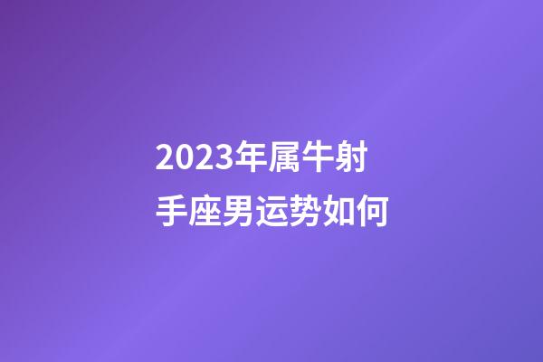 2023年属牛射手座男运势如何-第1张-星座运势-玄机派