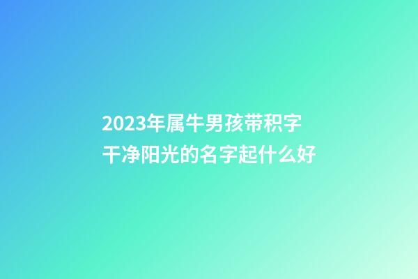 2023年属牛男孩带积字干净阳光的名字起什么好