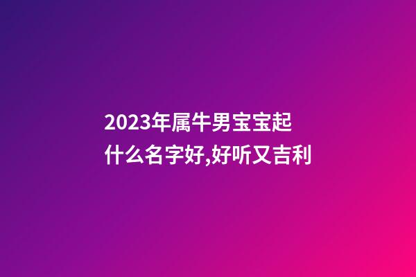 2023年属牛男宝宝起什么名字好,好听又吉利