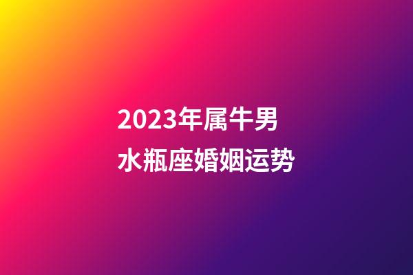 2023年属牛男水瓶座婚姻运势-第1张-星座运势-玄机派