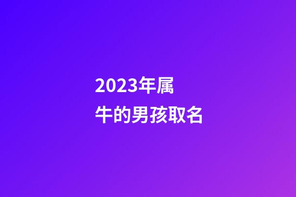 2023年属牛的男孩取名