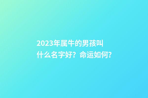 2023年属牛的男孩叫什么名字好？命运如何？
