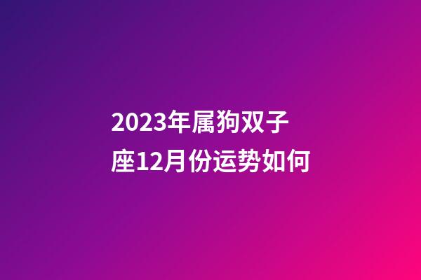 2023年属狗双子座12月份运势如何-第1张-星座运势-玄机派