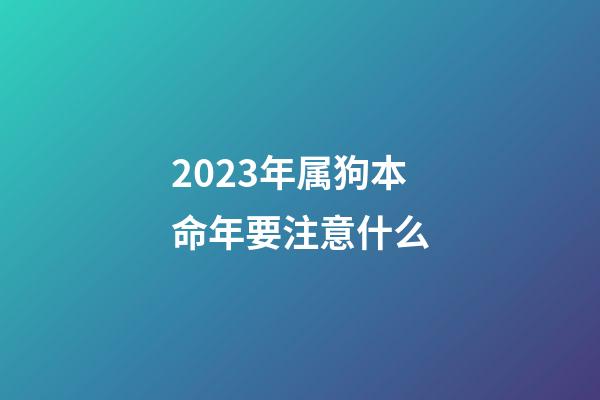 2023年属狗本命年要注意什么