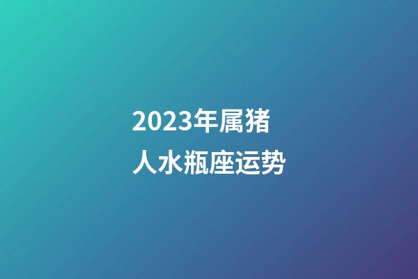 2023年属猪人水瓶座运势-第1张-星座运势-玄机派