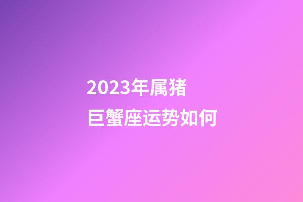 2023年属猪巨蟹座运势如何-第1张-星座运势-玄机派
