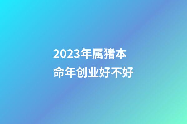 2023年属猪本命年创业好不好?