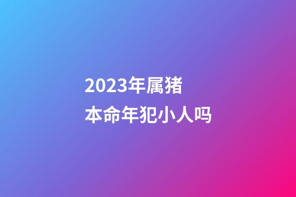 2023年属猪本命年犯小人吗?