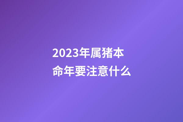 2023年属猪本命年要注意什么?
