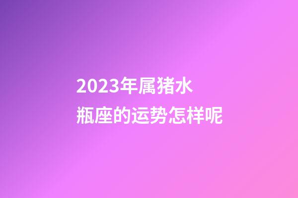 2023年属猪水瓶座的运势怎样呢-第1张-星座运势-玄机派