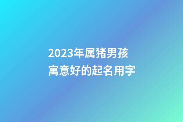 2023年属猪男孩寓意好的起名用字