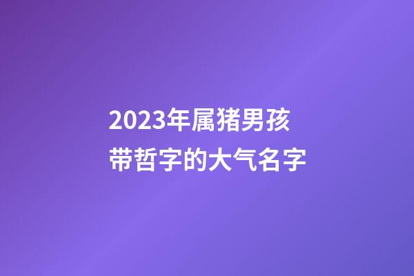 2023年属猪男孩带哲字的大气名字