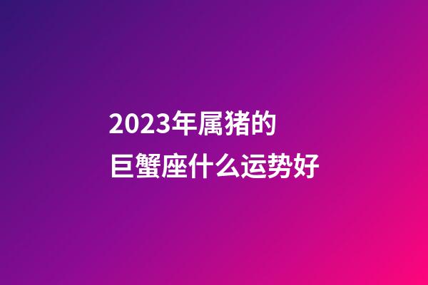 2023年属猪的巨蟹座什么运势好-第1张-星座运势-玄机派