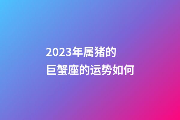 2023年属猪的巨蟹座的运势如何-第1张-星座运势-玄机派