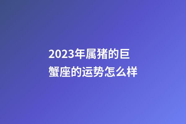 2023年属猪的巨蟹座的运势怎么样-第1张-星座运势-玄机派