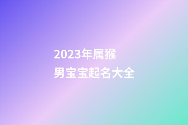 2023年属猴男宝宝起名大全