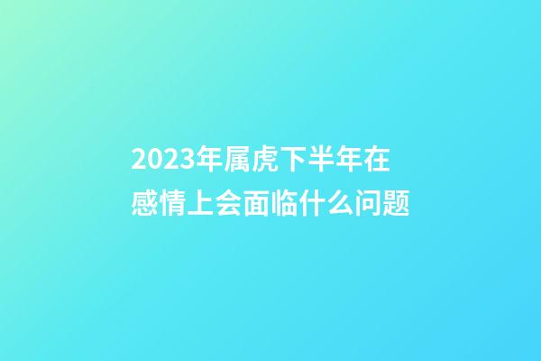 2023年属虎下半年在感情上会面临什么问题