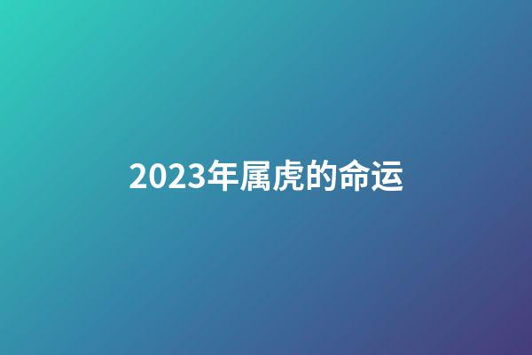 2023年属虎的命运