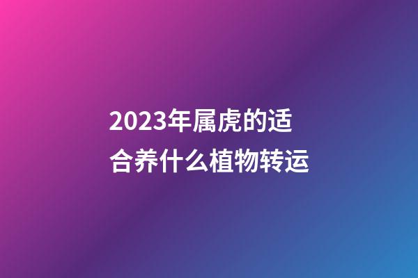 2023年属虎的适合养什么植物转运