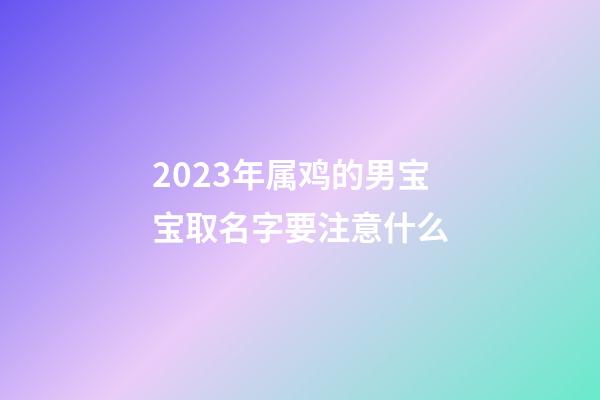 2023年属鸡的男宝宝取名字要注意什么