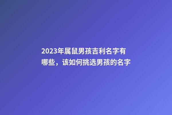2023年属鼠男孩吉利名字有哪些，该如何挑选男孩的名字
