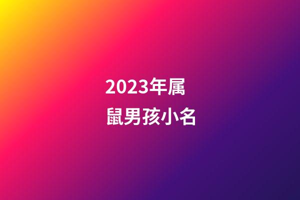 2023年属鼠男孩小名