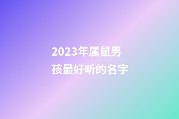 2023年属鼠男孩最好听的名字