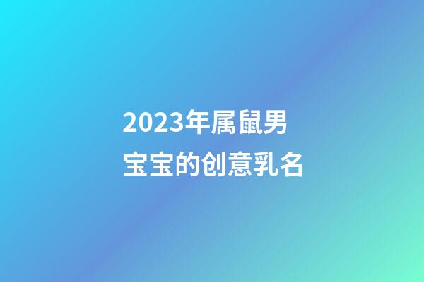 2023年属鼠男宝宝的创意乳名