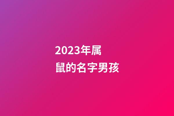2023年属鼠的名字男孩