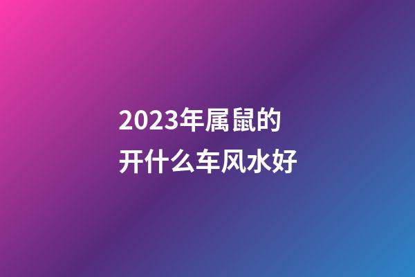 2023年属鼠的开什么车风水好