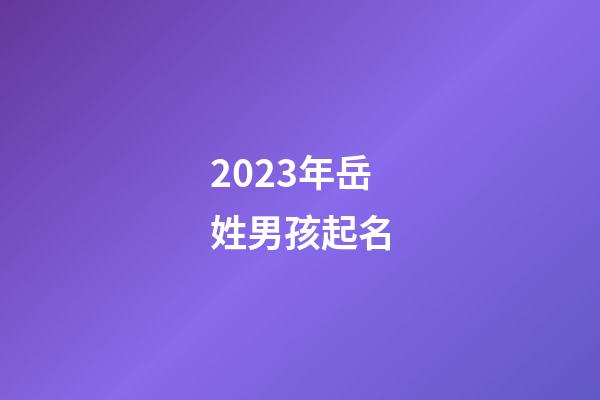 2023年岳姓男孩起名