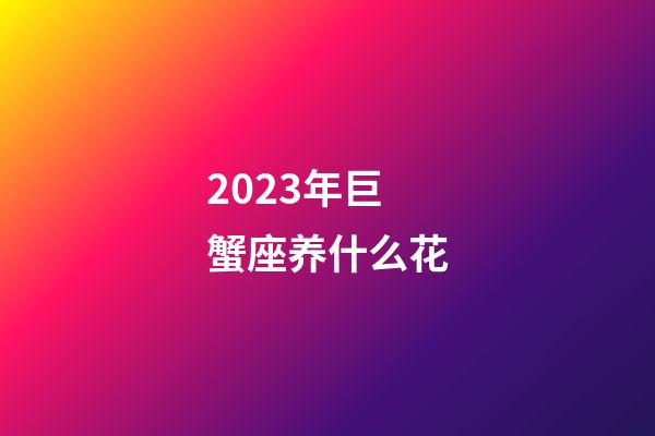 2023年巨蟹座养什么花-第1张-星座运势-玄机派