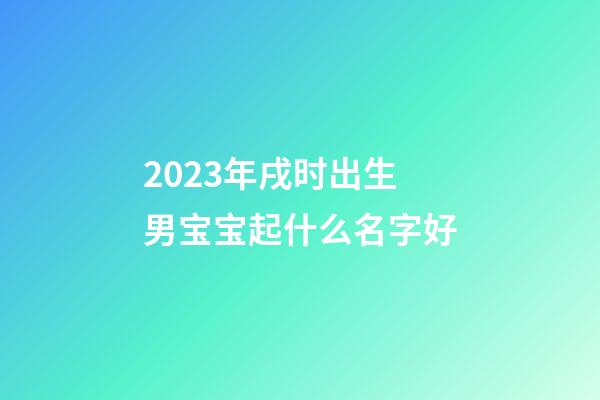 2023年戌时出生男宝宝起什么名字好