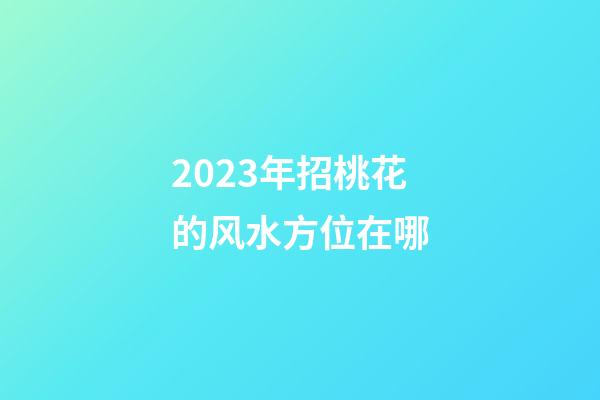 2023年招桃花的风水方位在哪