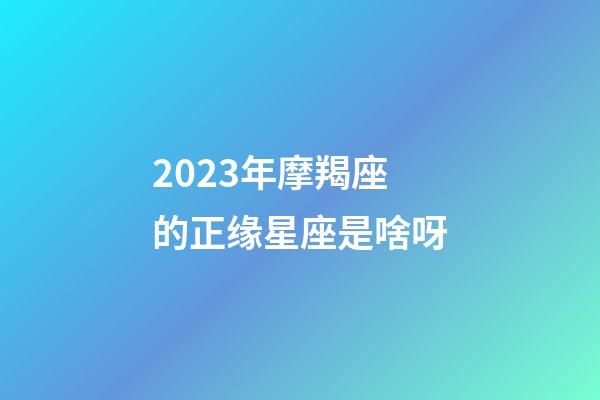 2023年摩羯座的正缘星座是啥呀-第1张-星座运势-玄机派