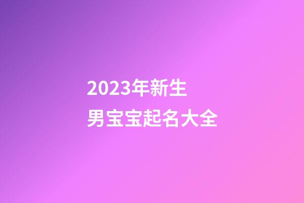 2023年新生男宝宝起名大全