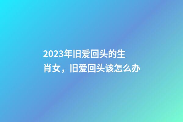 2023年旧爱回头的生肖女，旧爱回头该怎么办