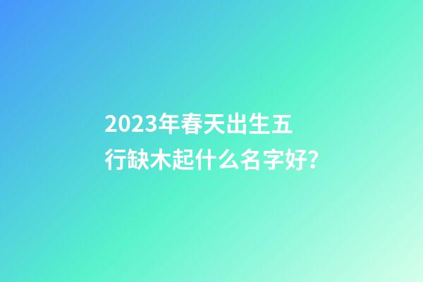 2023年春天出生五行缺木起什么名字好？