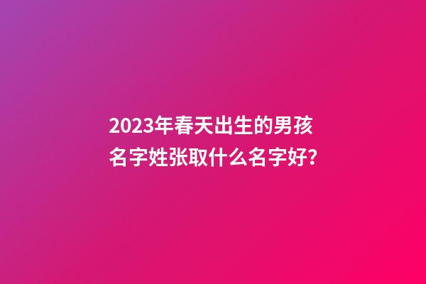2023年春天出生的男孩名字姓张取什么名字好？
