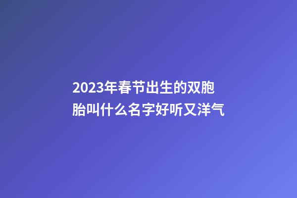 2023年春节出生的双胞胎叫什么名字好听又洋气