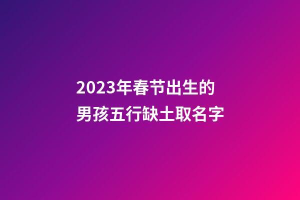 2023年春节出生的男孩五行缺土取名字