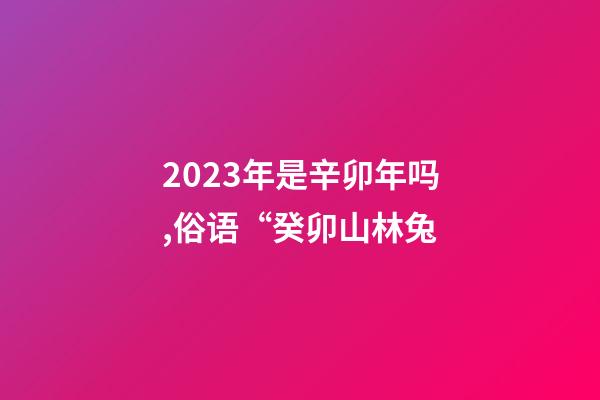 2023年是辛卯年吗,俗语“癸卯山林兔-第1张-观点-玄机派
