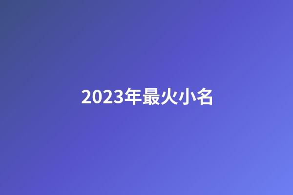 2023年最火小名