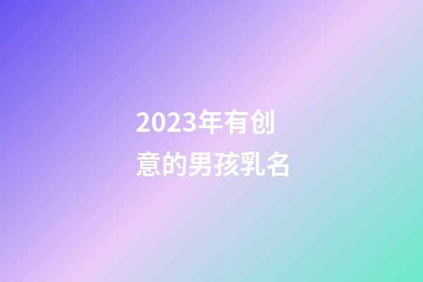 2023年有创意的男孩乳名